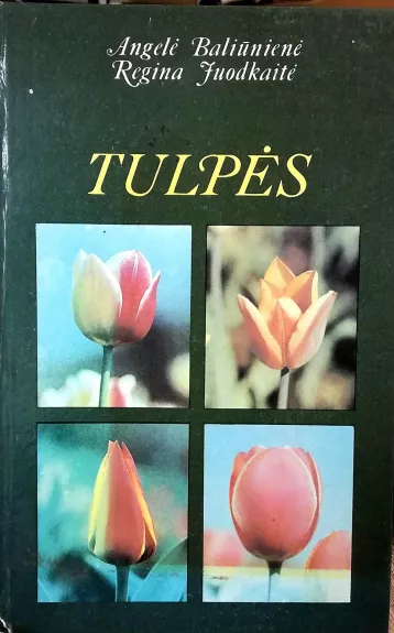 Tulpės