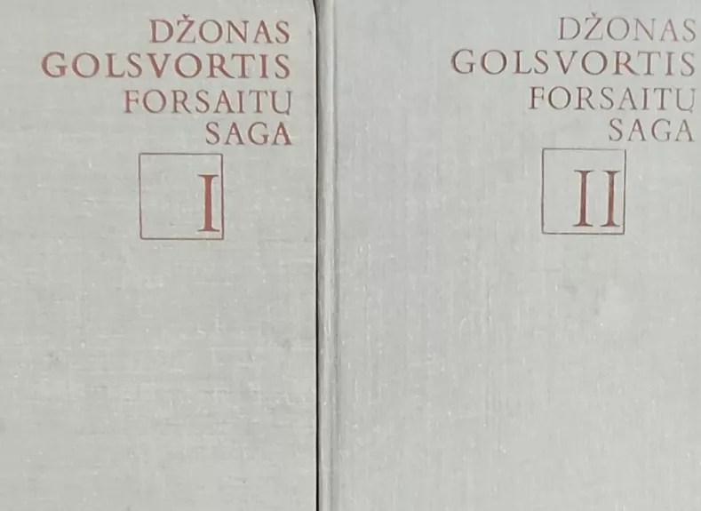 Forsaitų saga (2 tomai) - Džonas Golsvortis, knyga 1