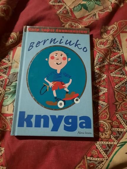 Berniuko knyga: kaip tapti šauniausiam