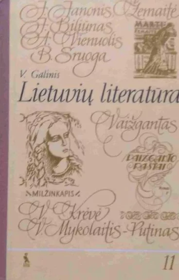 Lietuvių literatūra 11 kl. - V. Galinis, knyga
