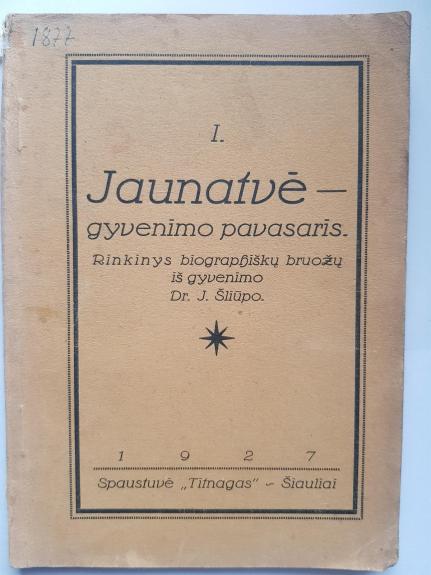 Jaunatvė - gyvenimo pavasaris