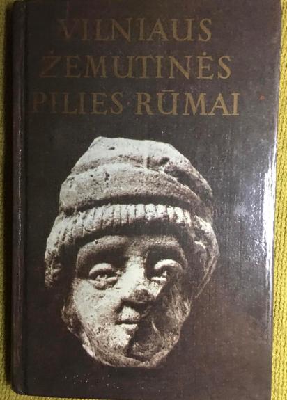 Vilniaus žemutinės pilies rūmai