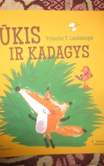 Pūkis ir kadagys - Vytautas Landsbergis, knyga