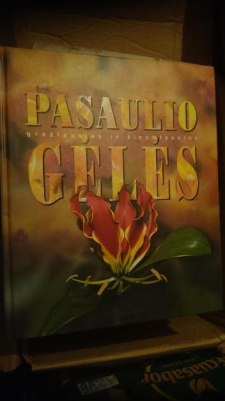 Pasaulio gražiausios ir žinomiausios gėlės