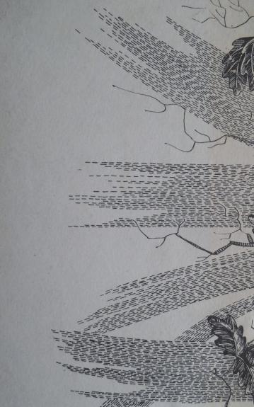 Kaimų istorijos II knyga