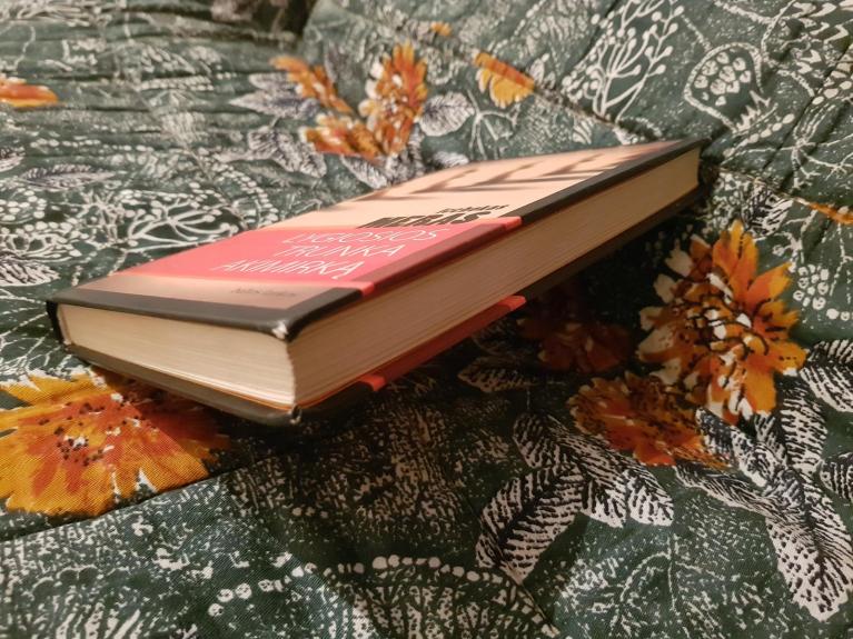 Lygiosios trunka akimirką