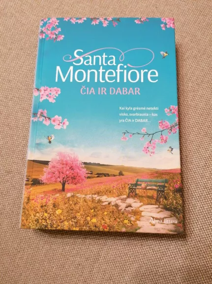 Čia ir dabar - Santa Montefiore, knyga