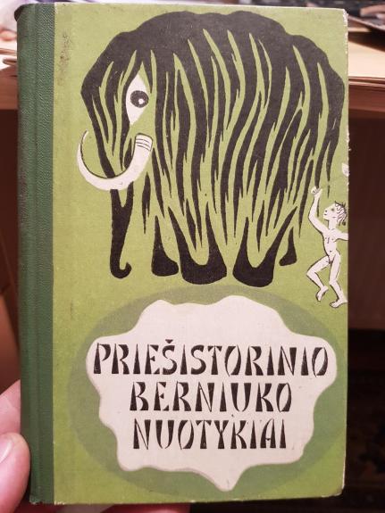 Priešistorinio berniuko nuotykiai