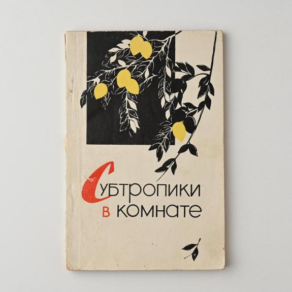 Субтропики в комнате