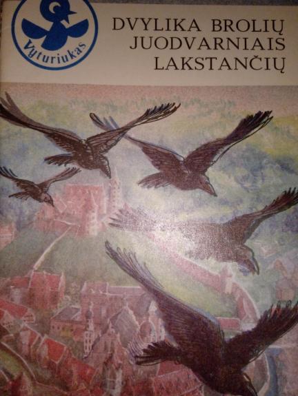 Dvylika brolių juodvarniais lakstančių