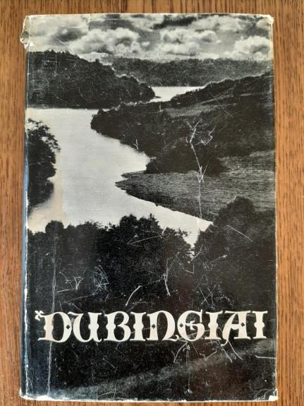 Dubingiai - Autorių Kolektyvas, knyga