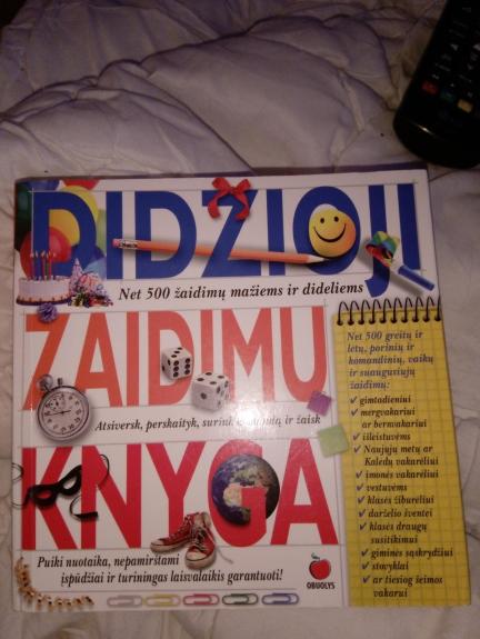 Didžioji žaidimų knyga