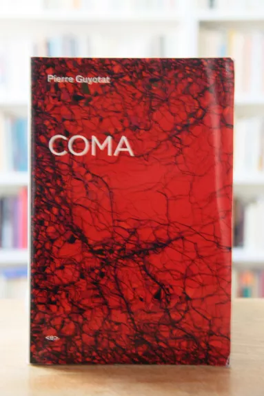 Coma - Pierre Guyotat, knyga