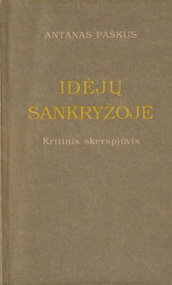 Idėjų sankryžoje: Kritinis skerspjūvis