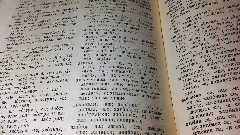 Bulgarų teisingos kalbos žodynas - Autorių Kolektyvas, knyga 1