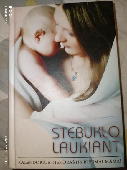 Stebuklo laukiant:  kalendorius-dienoraštis būsimai mamai