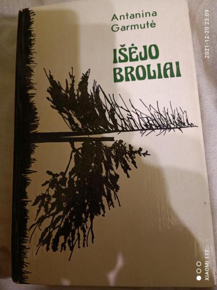 IŠĖJO BROLIAI