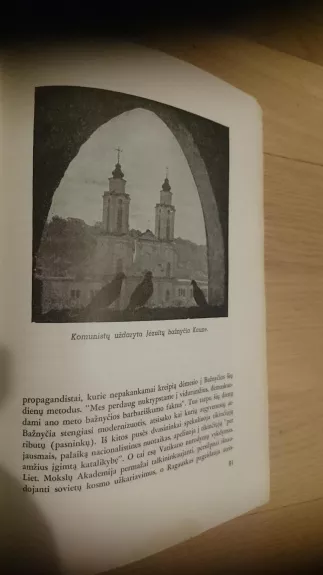 Kova prieš Dievą Lietuvoje - J. Savasis, knyga 1