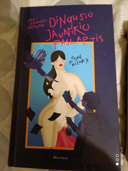 Dingusio jaunikio paslaptis. Zosės Ilganosės memuarai