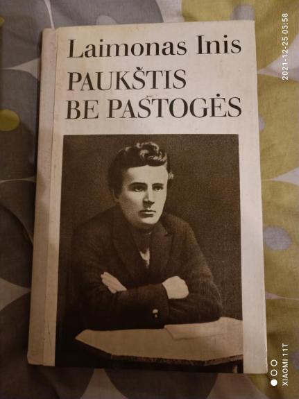 Paukštis be pastogės