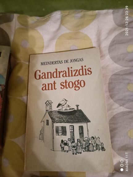 Gandralizdis ant stogo