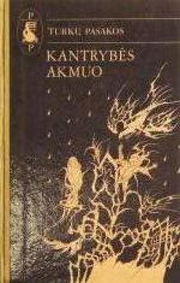 Turkų pasakos. Kantrybės akmuo