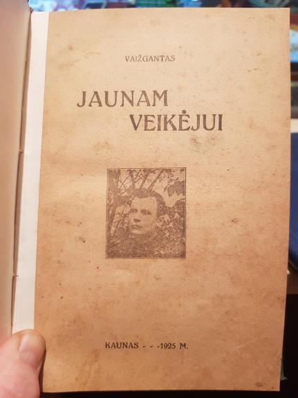 Jaunam veikėjui: 20 feljetonų -  Vaižgantas, knyga