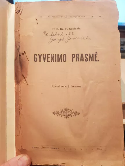 Gyvenimo prasmė