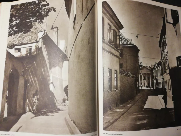 Vilnius - A. Janikas, knyga 1