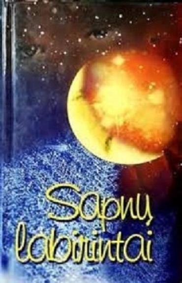 Sapnų labirintai - Nijolė Blaževičiūtė, knyga