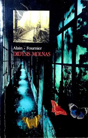 Didysis molnas - Alain Fournier, knyga