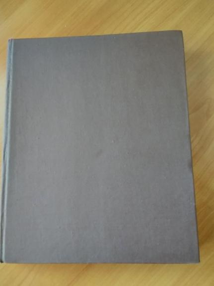 XX a. Lietuvių dailės istoriją (II dalis) 1900 - 1940