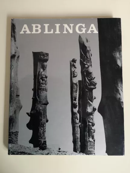 Ablinga - Algimantas Patašius, knyga