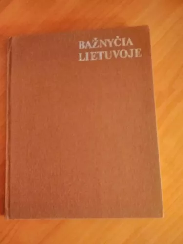 Bažnyčia Lietuvoje - Vytautas Kazakevičius, knyga