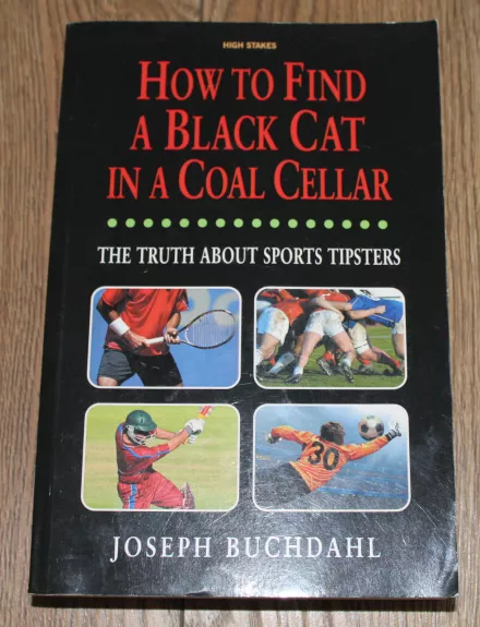 How to find a Black Cat in a Coal Cellar - Joseph Buchdahl, knyga 1