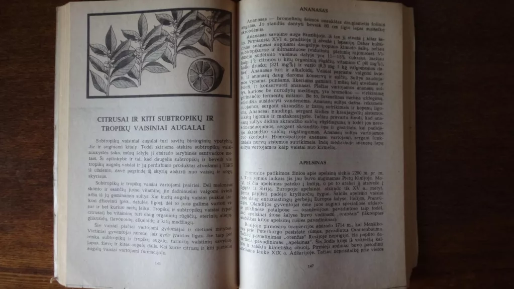 Maistinių augalų gydomosios savybės - L. Skliarevskis, knyga 1