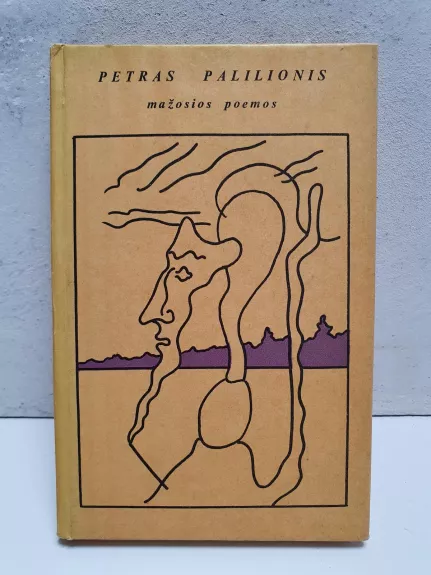 Mažosios poemos - Petras Palilionis, knyga