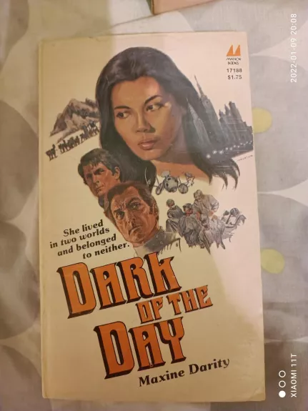 Dark of the day - Maxine Darity, knyga