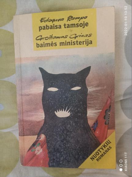 Pabaisa tamsoje. Baimės ministerija