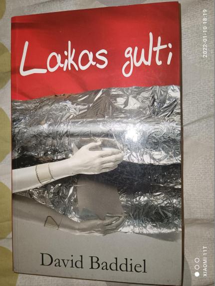 Laikas gulti