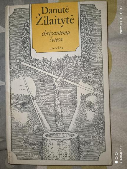 Chrizantemų šviesa