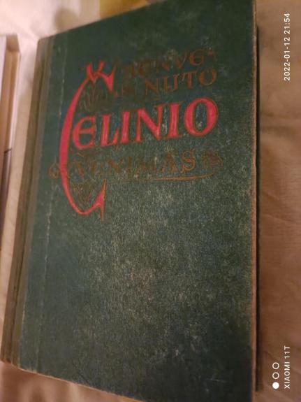 Bervenuto Čelinio gyvenimas