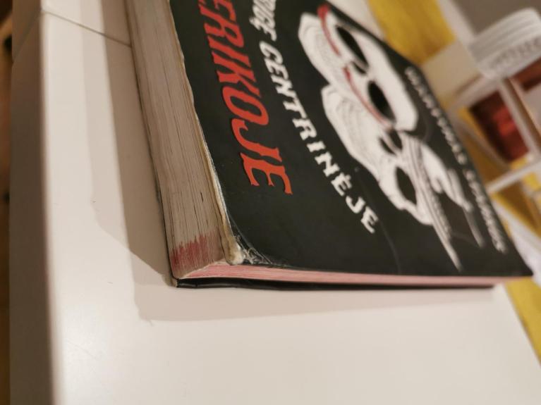 Įstrigę Centrinėje Amerikoje