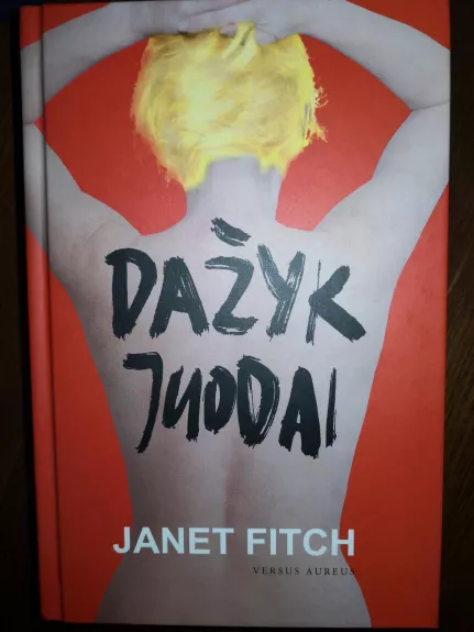 Dažyk juodai - Janet Fitch, knyga