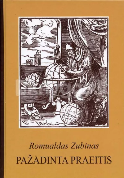 Pažadinta praeitis - Romualdas Zubinas, knyga