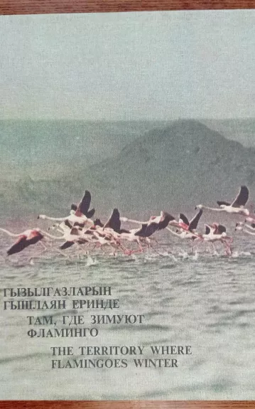 Там, где зимуют фламинго - В. Васильев, knyga 1