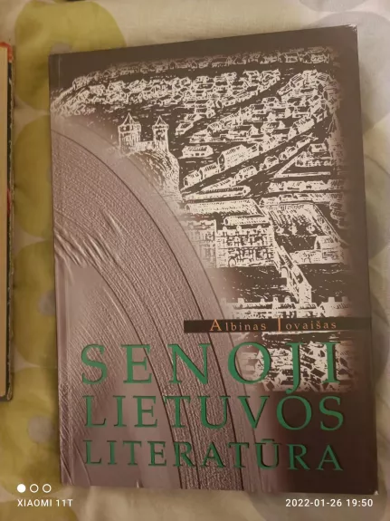 Senoji Lietuvos literatūra - Albinas Jovaišas, knyga