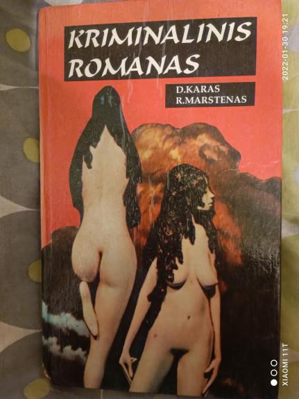 Kriminalinis romanas (1 dalis)