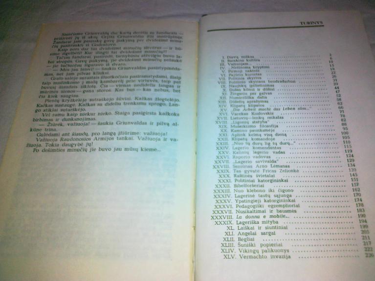 Dievų miškas - Balys Sruoga, knyga 1