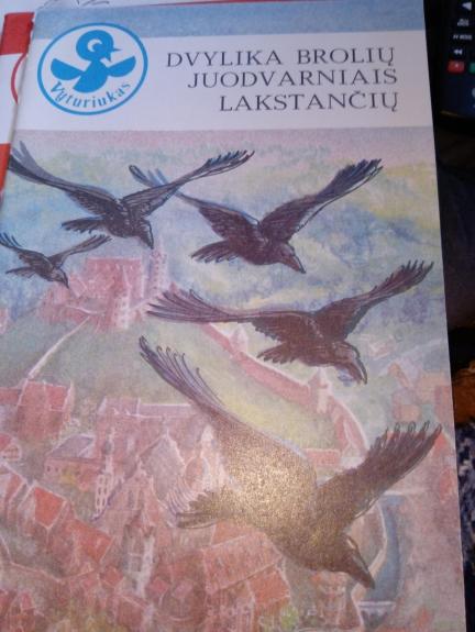 Dvylika brolių juodvarniais lakstančių